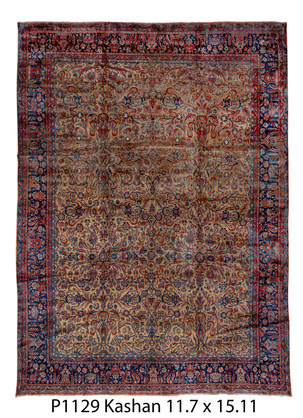 P01129 Rug
