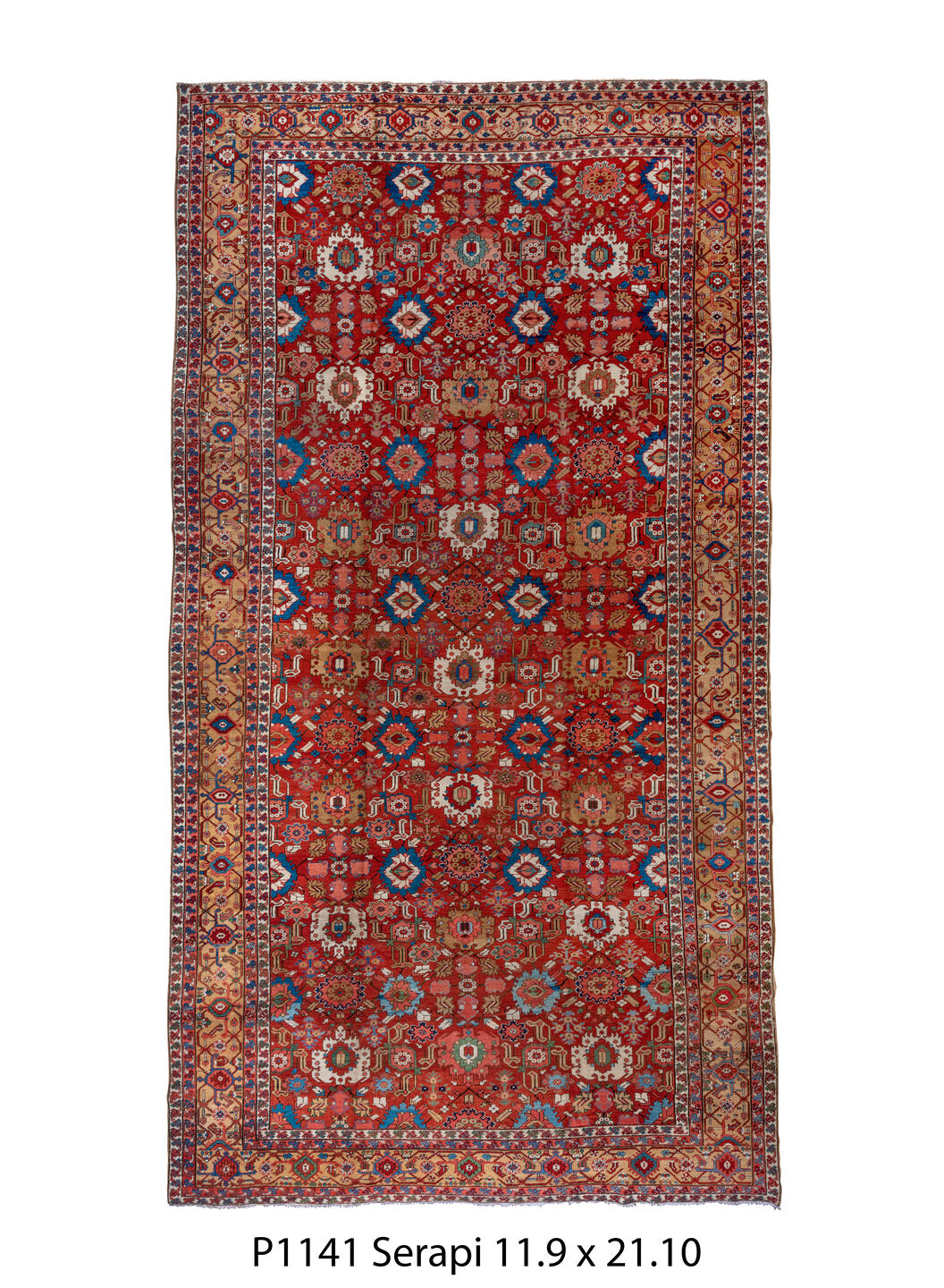 P01141 Rug