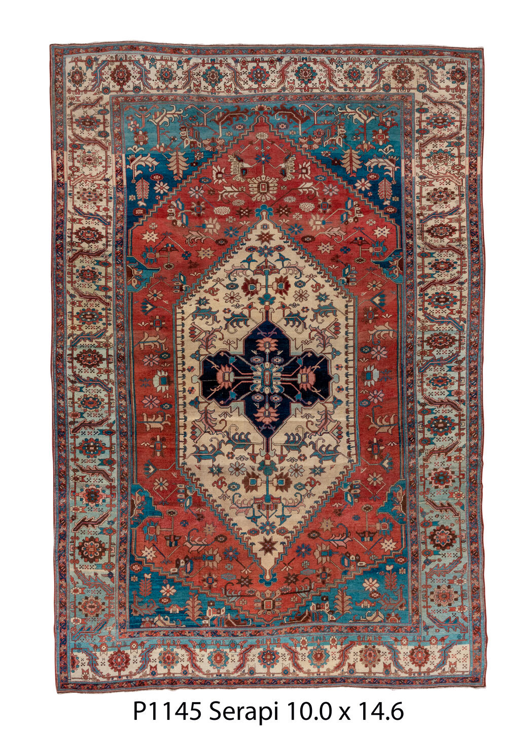 P01145 Rug