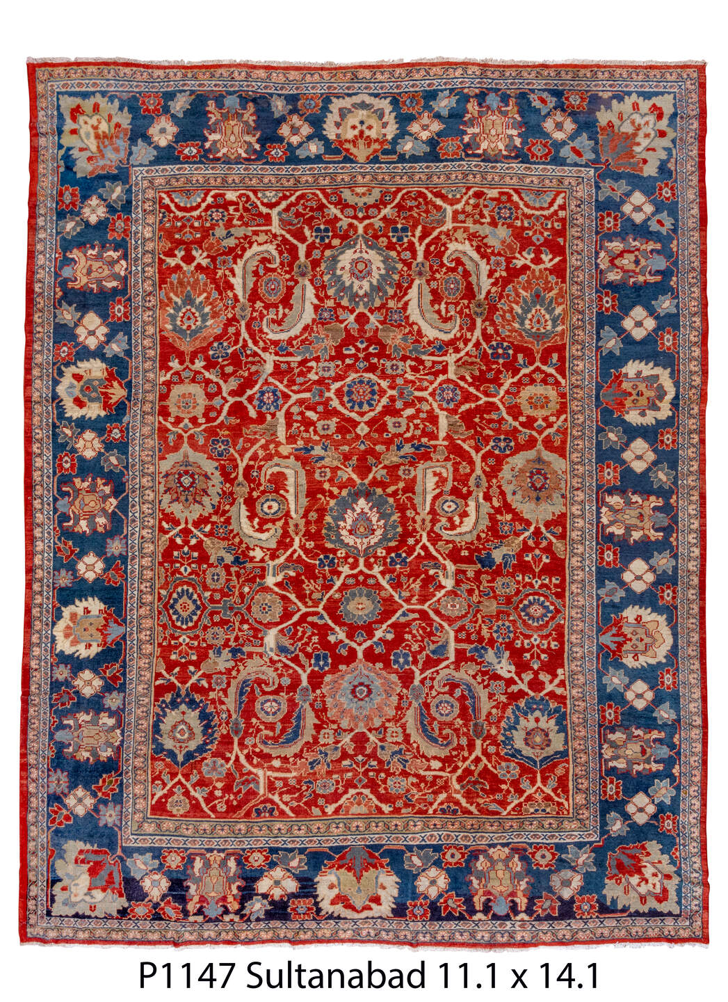 P01147 Rug