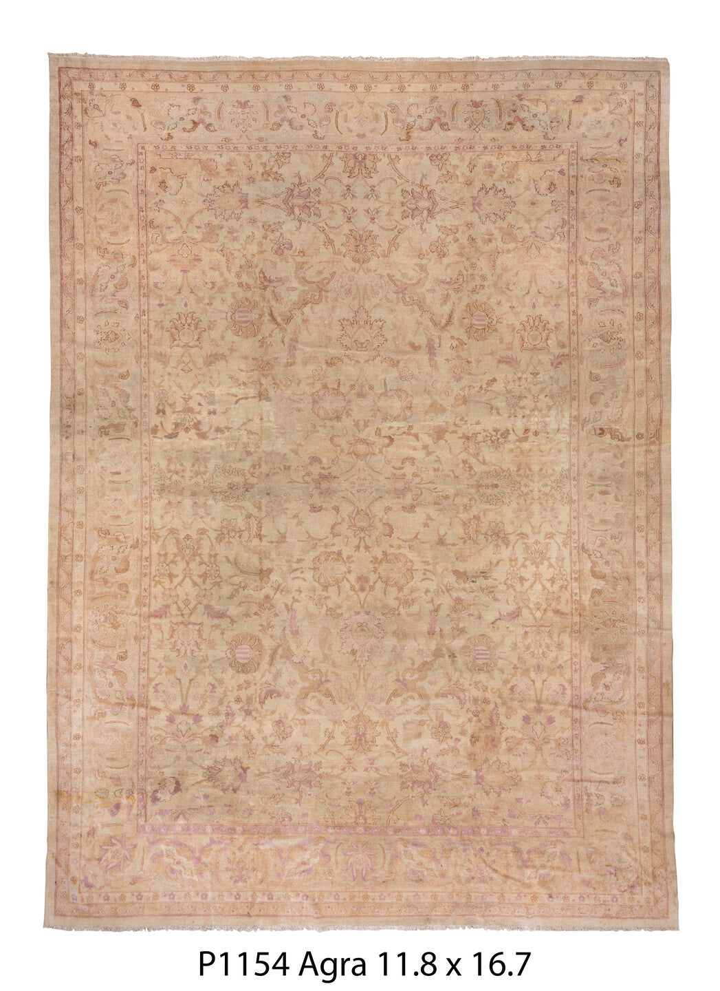 P01154 Rug