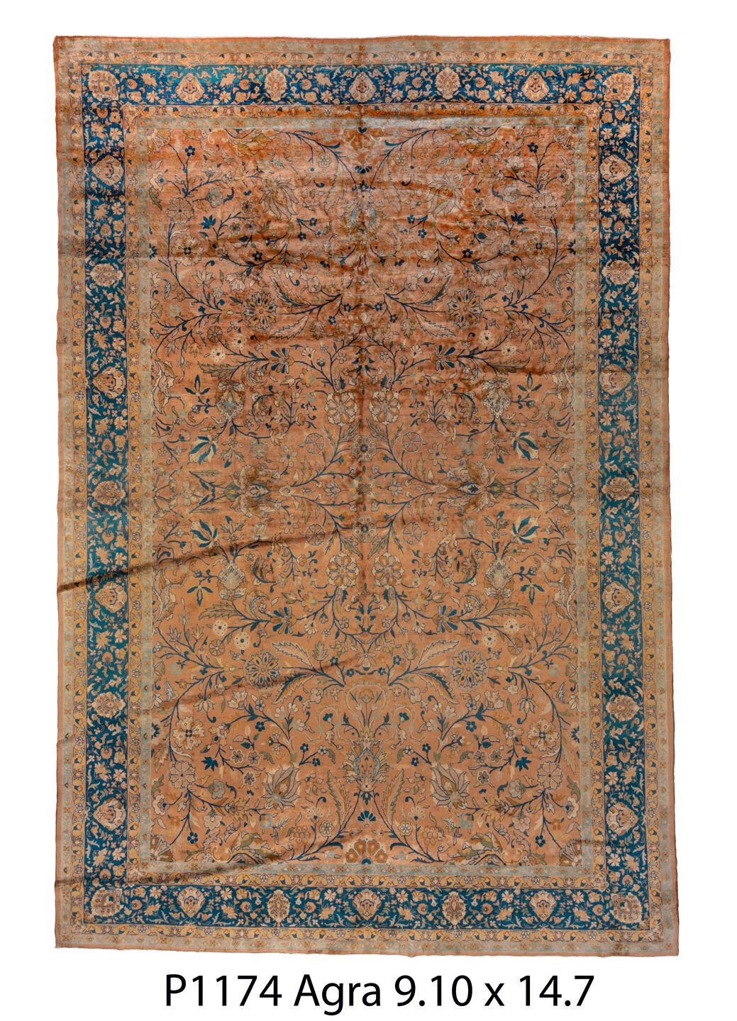 P01174 Rug