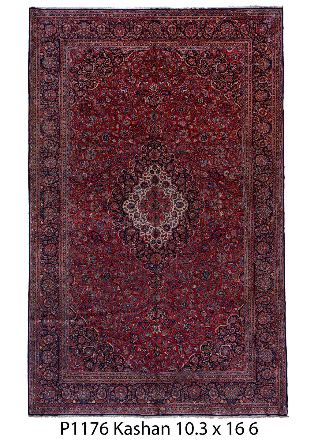 P01176 Rug