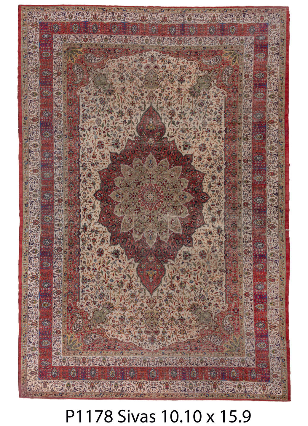 P01178 Rug