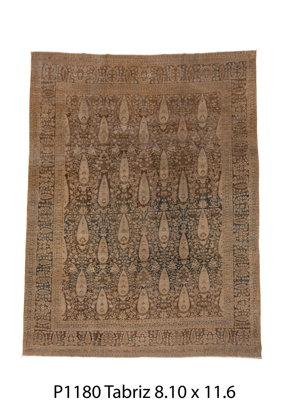 P01180 Rug