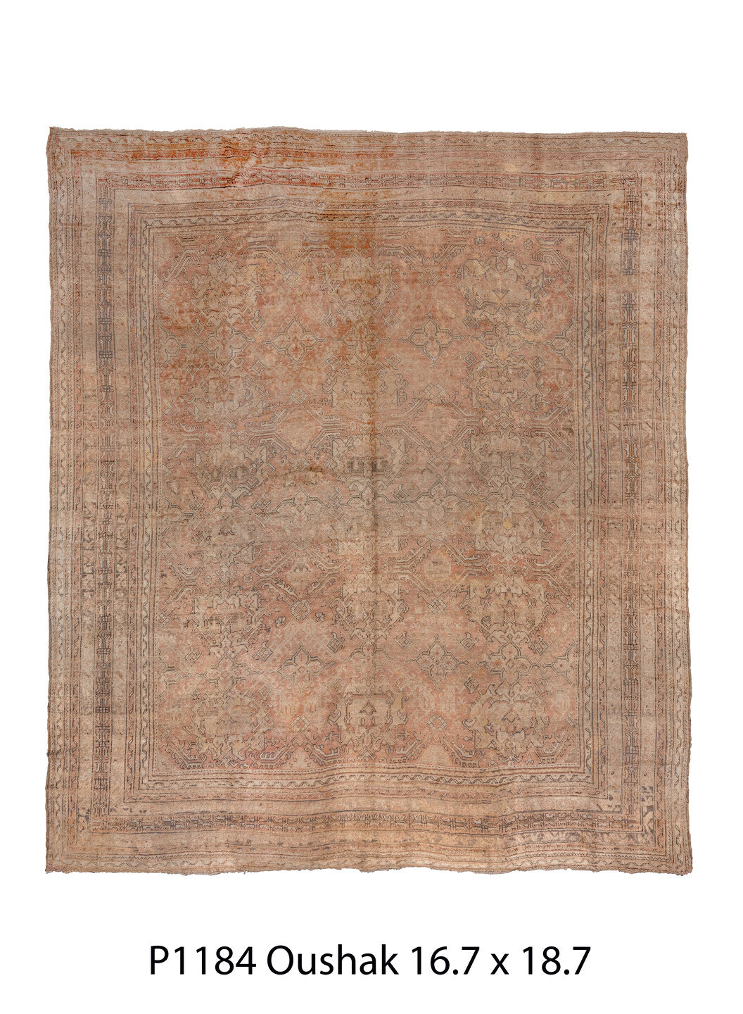 P01184 Rug