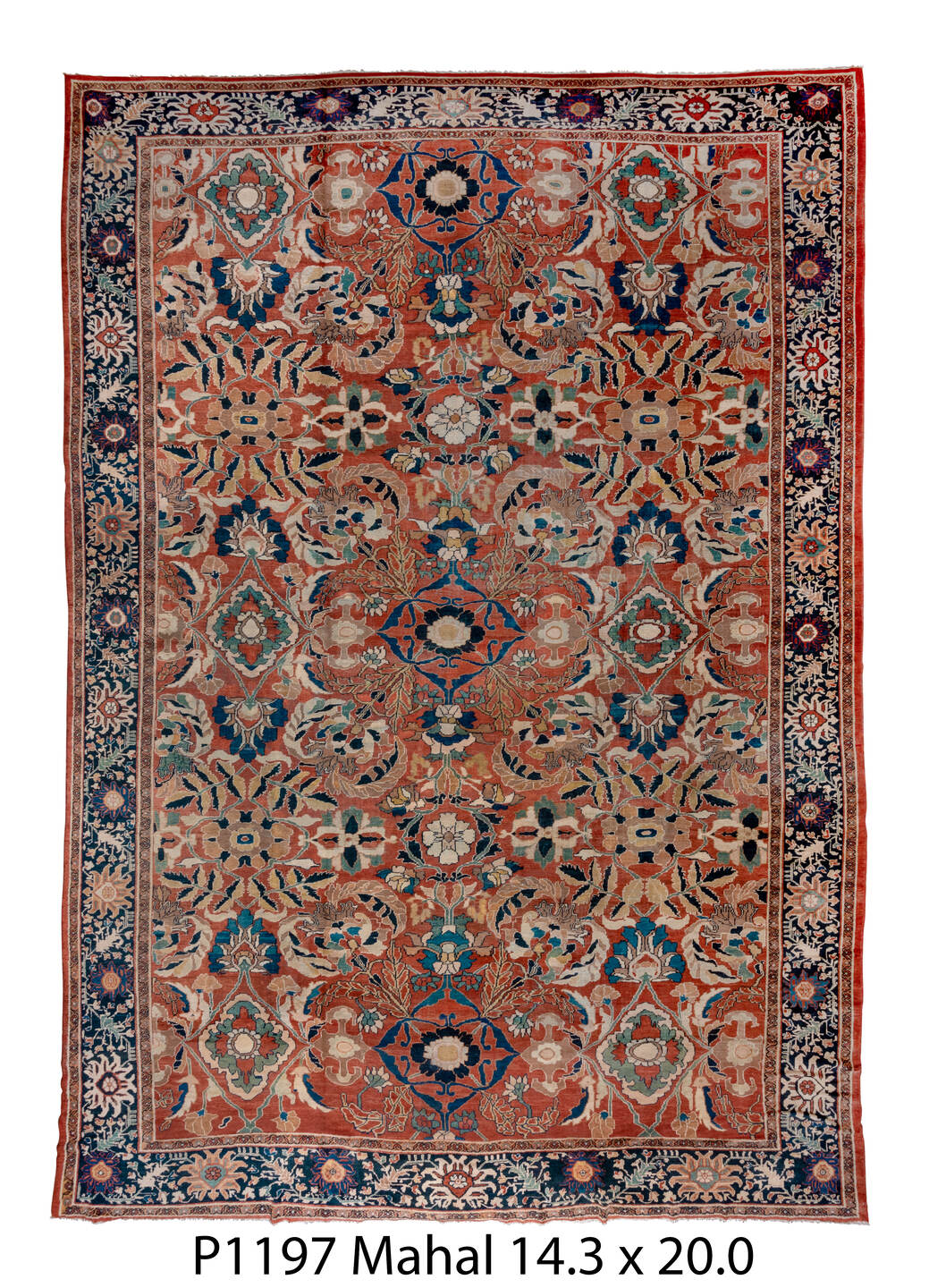 P01197 Rug