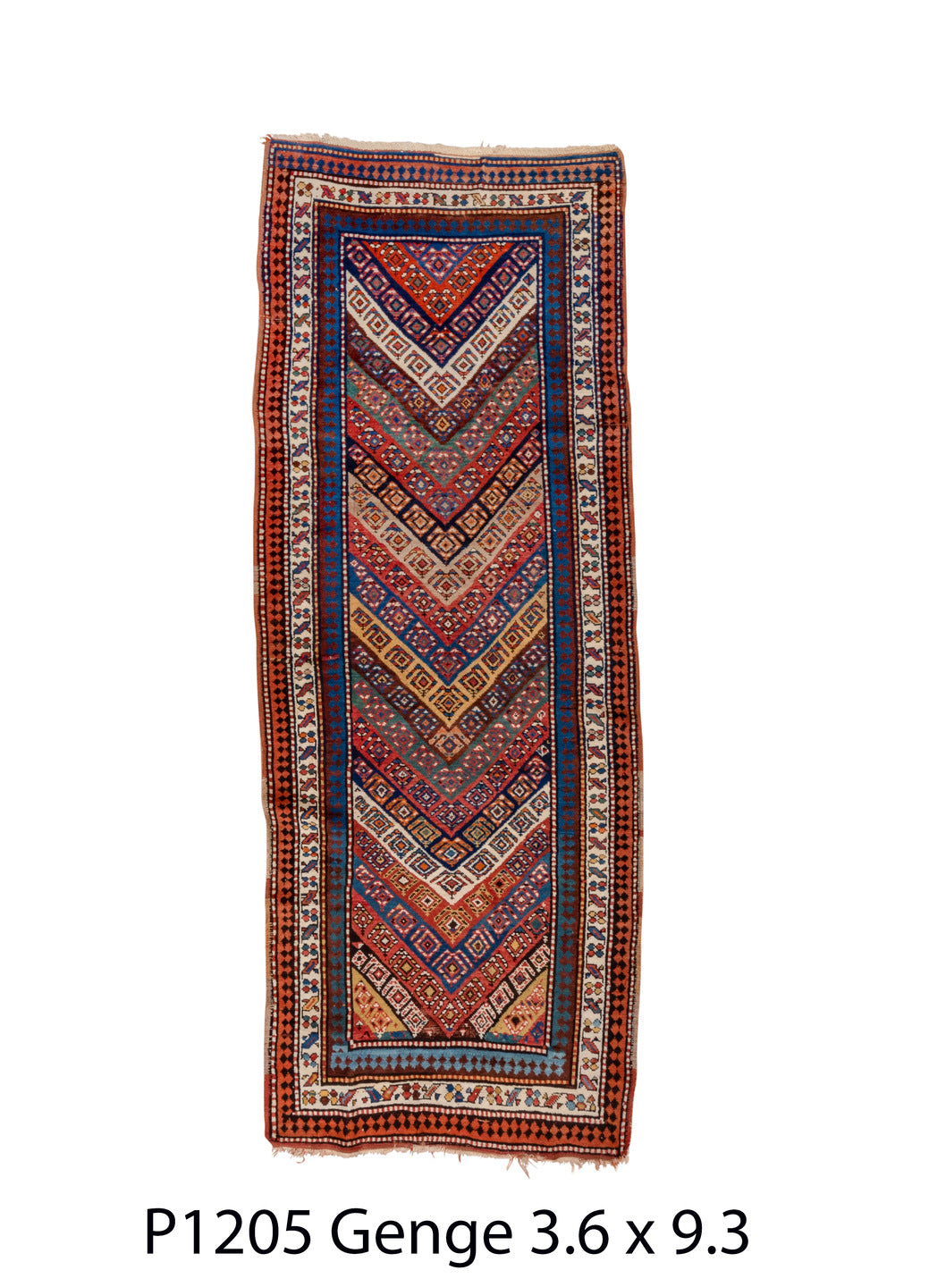 P01205 Rug
