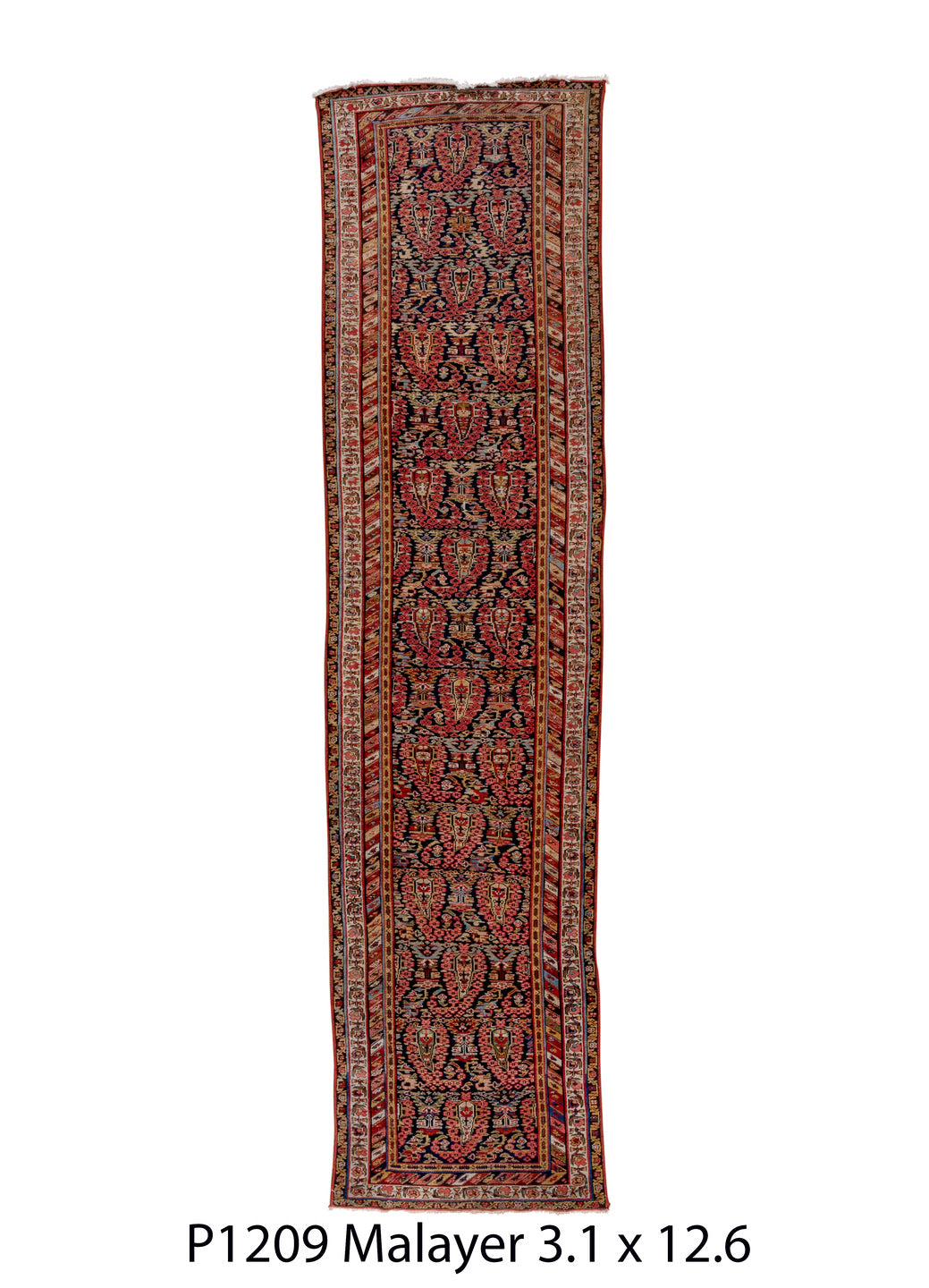 P01209 Rug