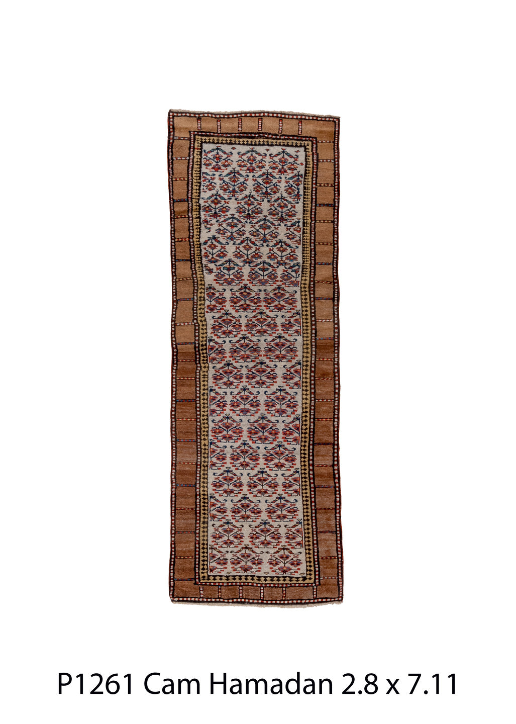 P01261 Rug