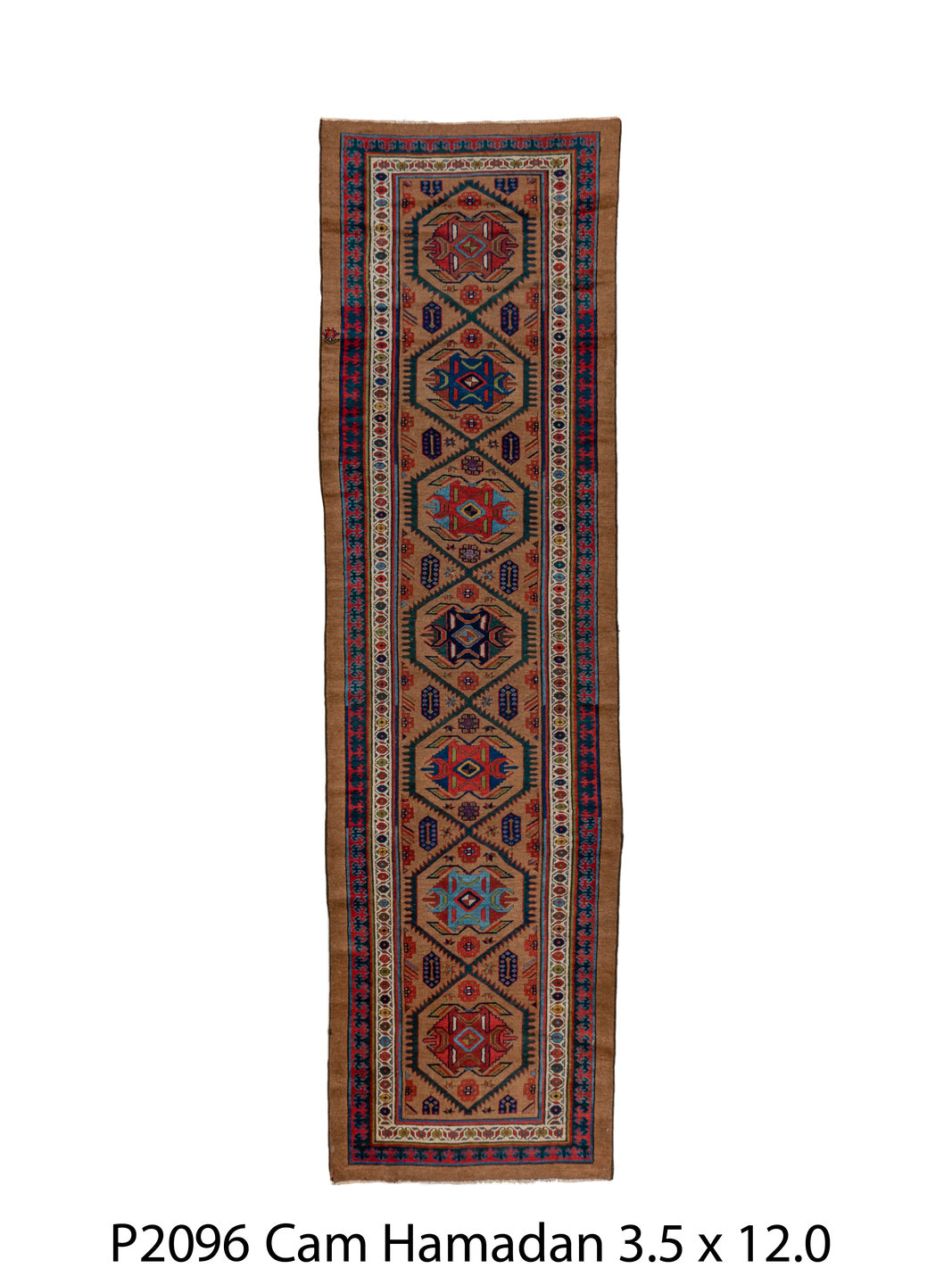 P02096 Rug