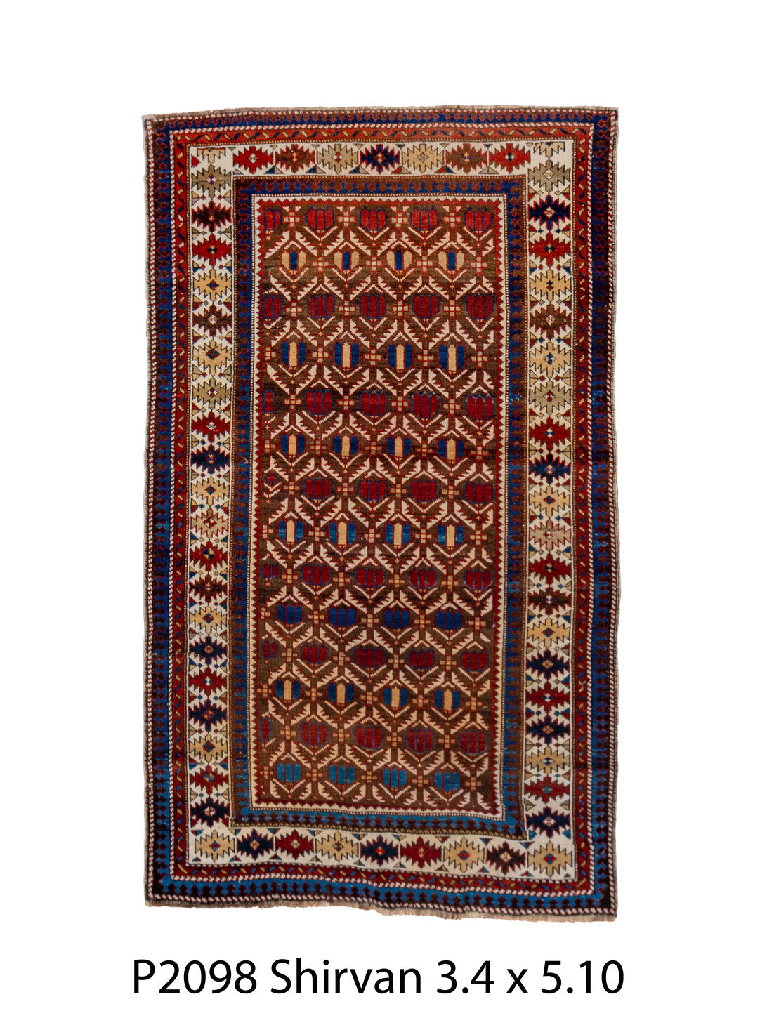 P02098 Rug