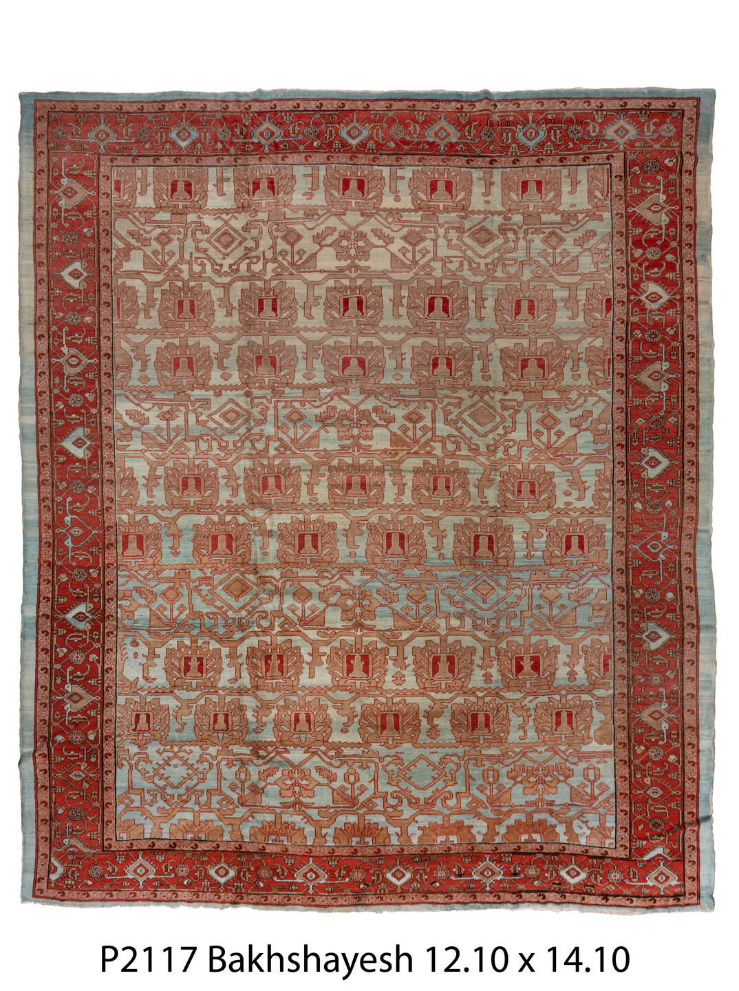 P02117 Rug