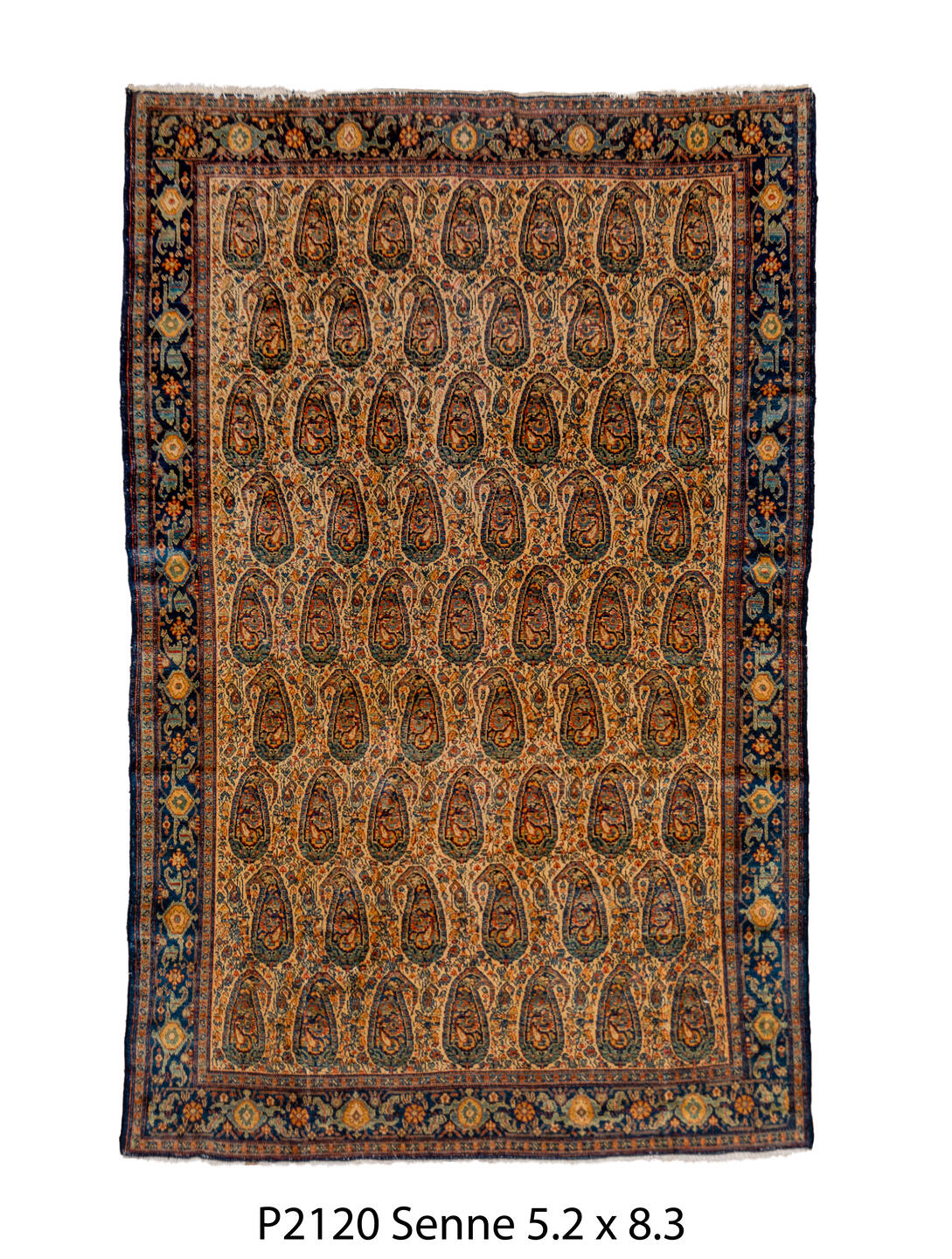 P02120 Rug