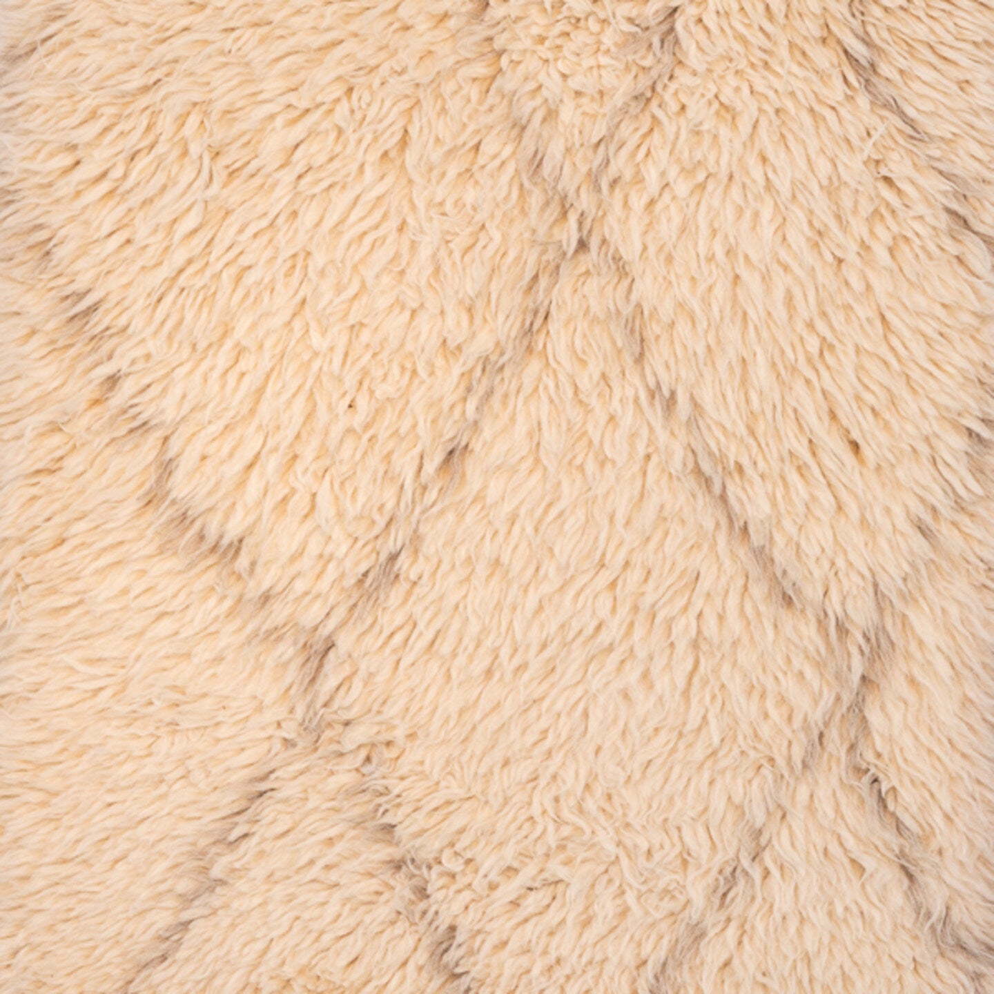 S14298 Rug