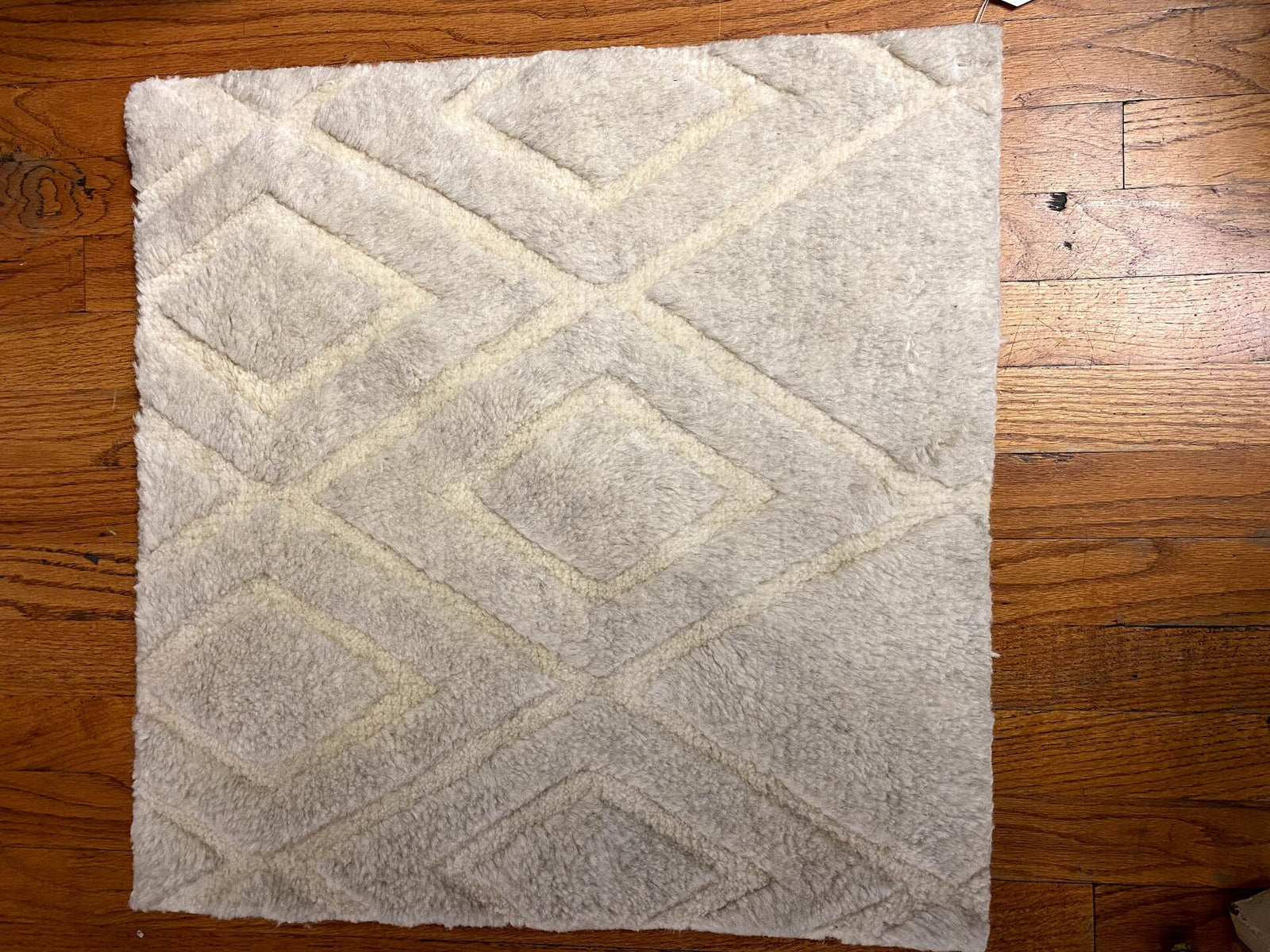 S25144 Rug