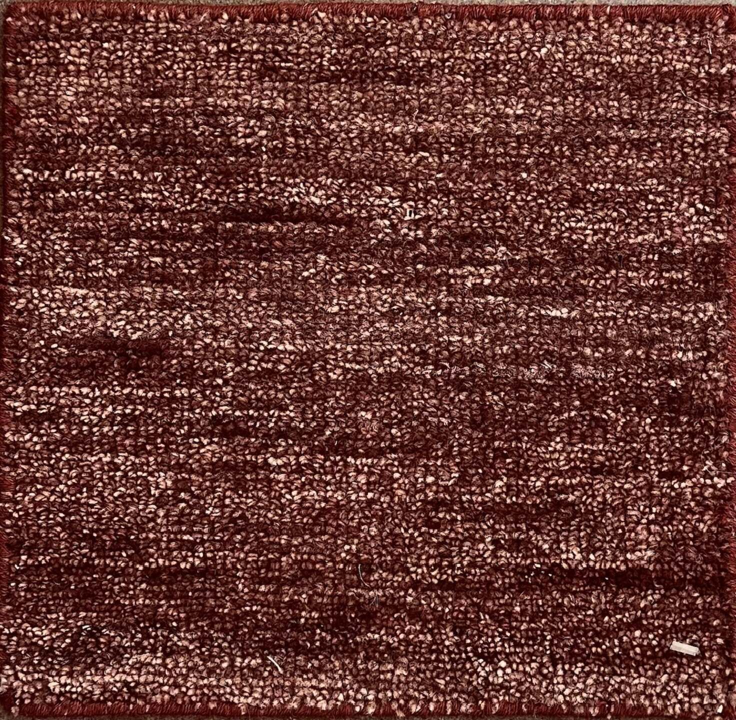 S25971 Rug