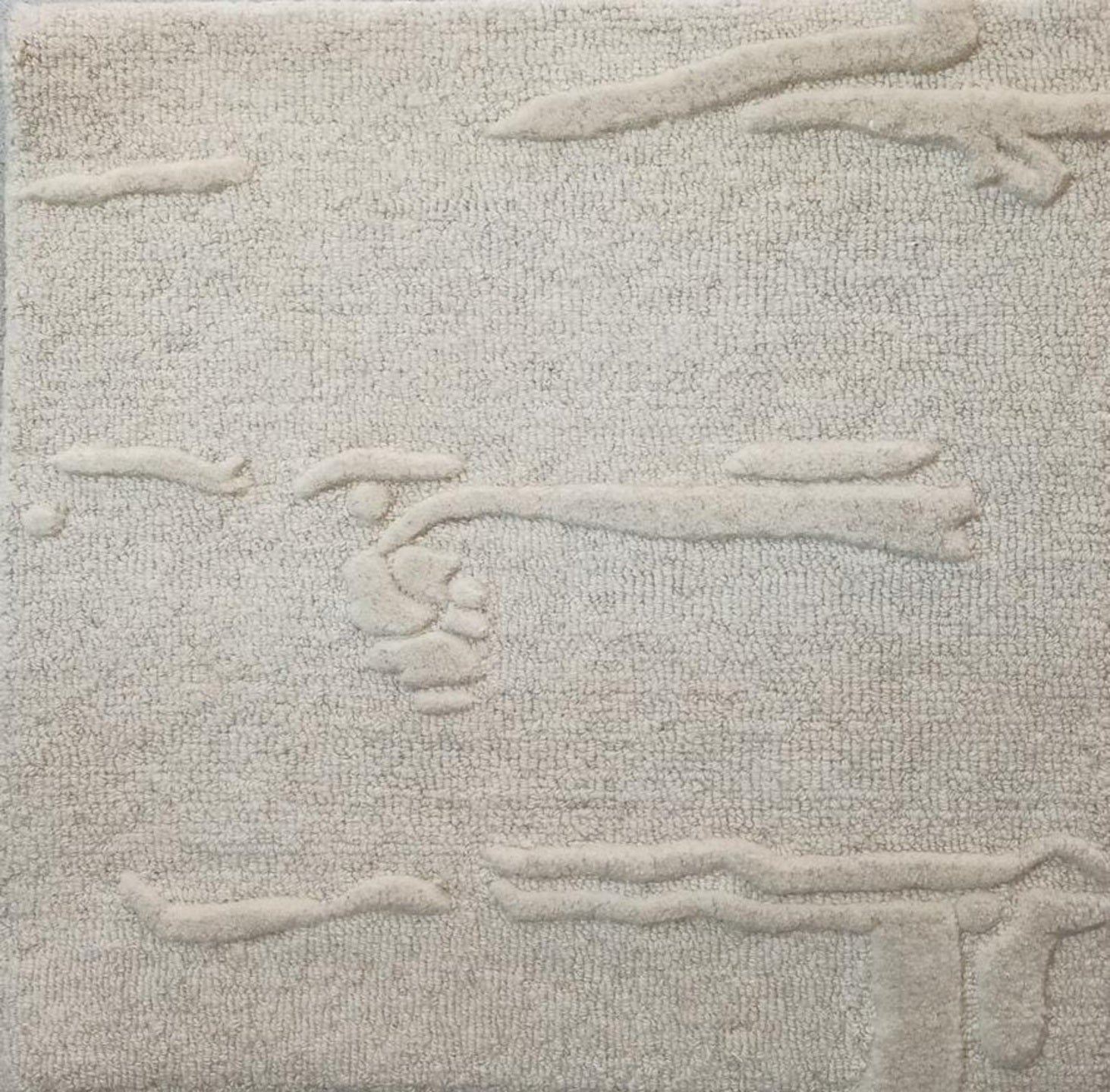S28024 Rug