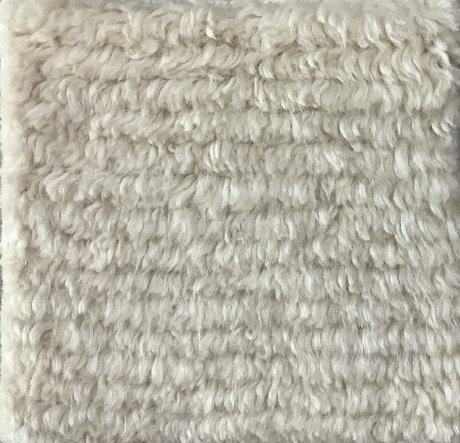 S28304 Rug