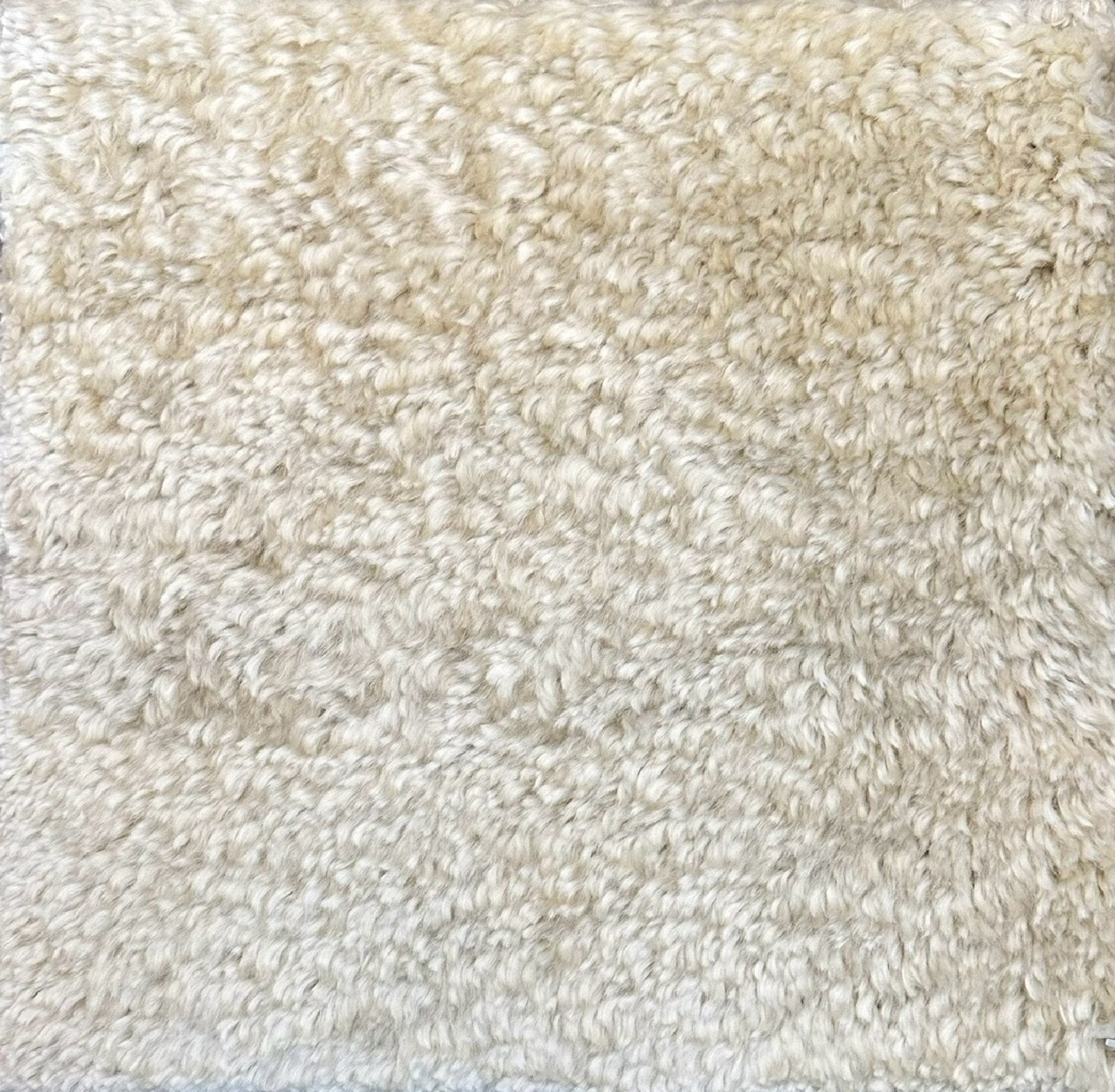 S28497 Rug