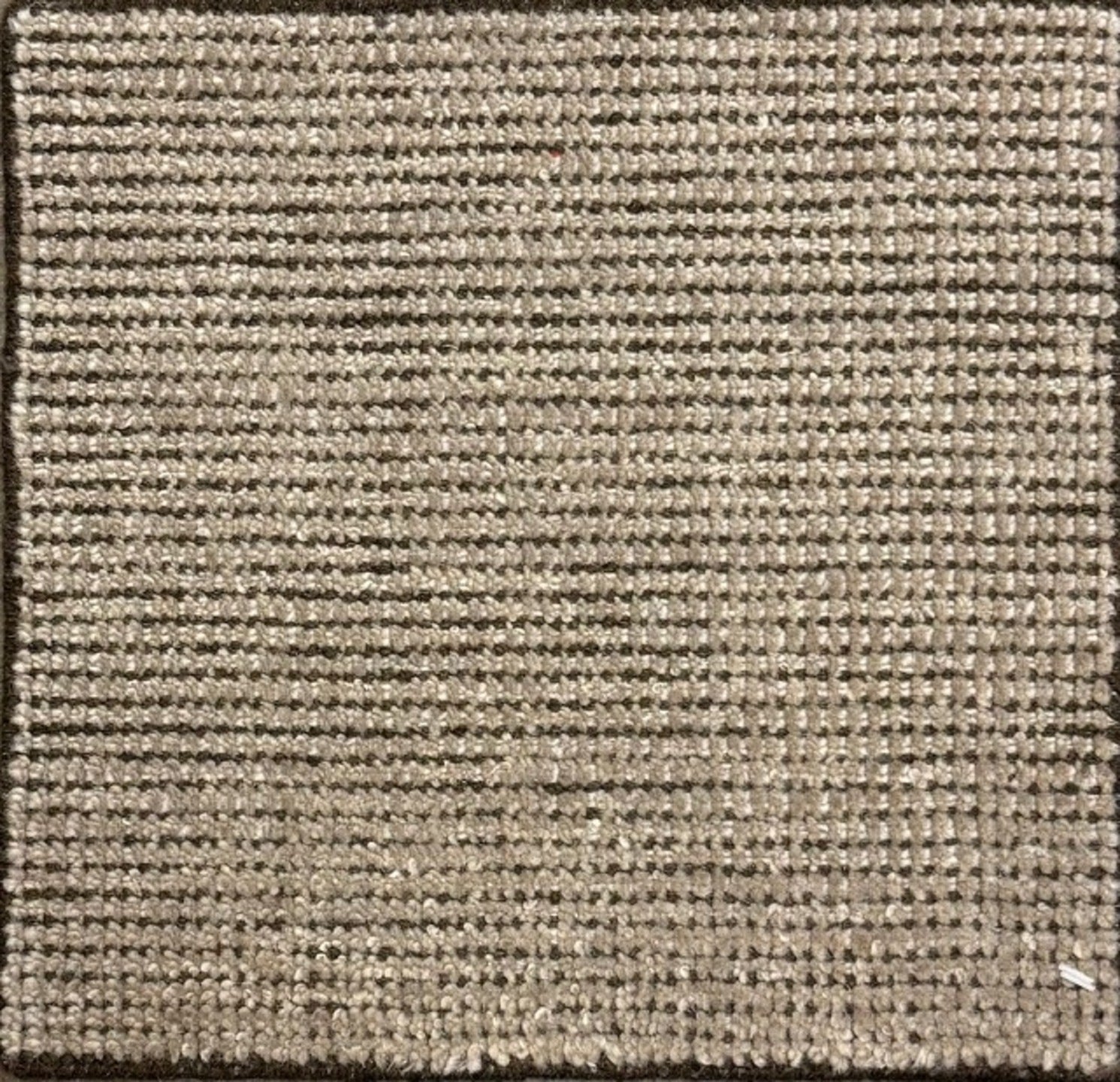 S29040 Rug