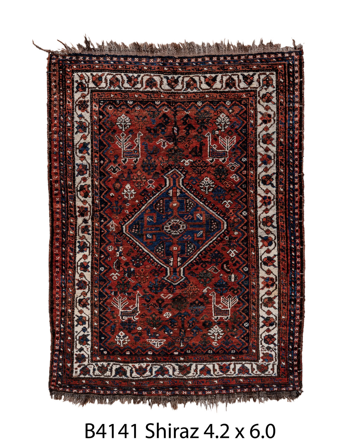 B04141 Rug