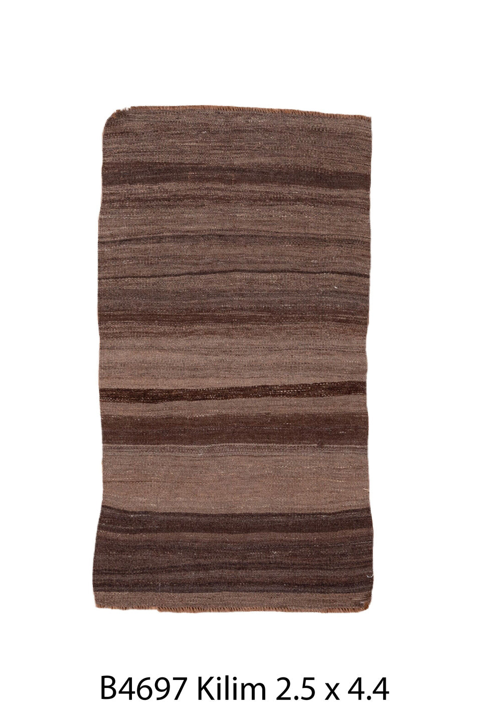 B04697 Rug