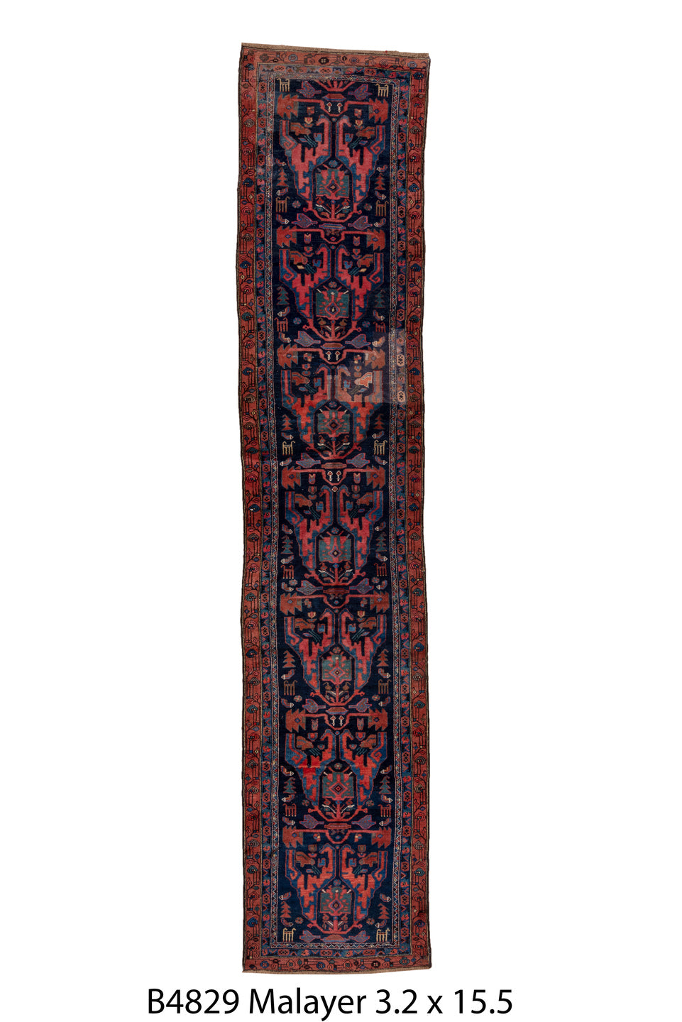 B04829 Rug