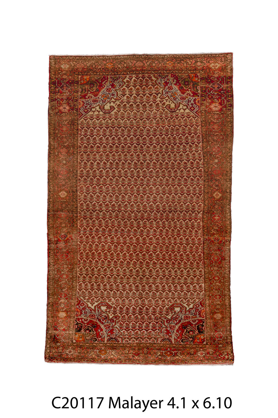 C20117 Rug