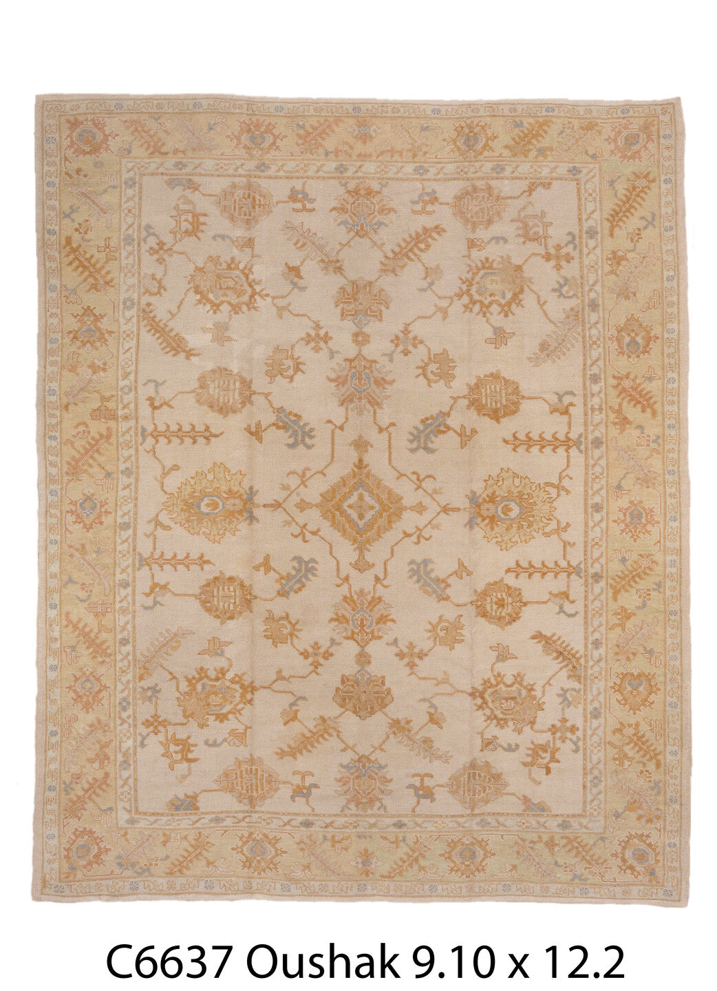 C06637 Rug