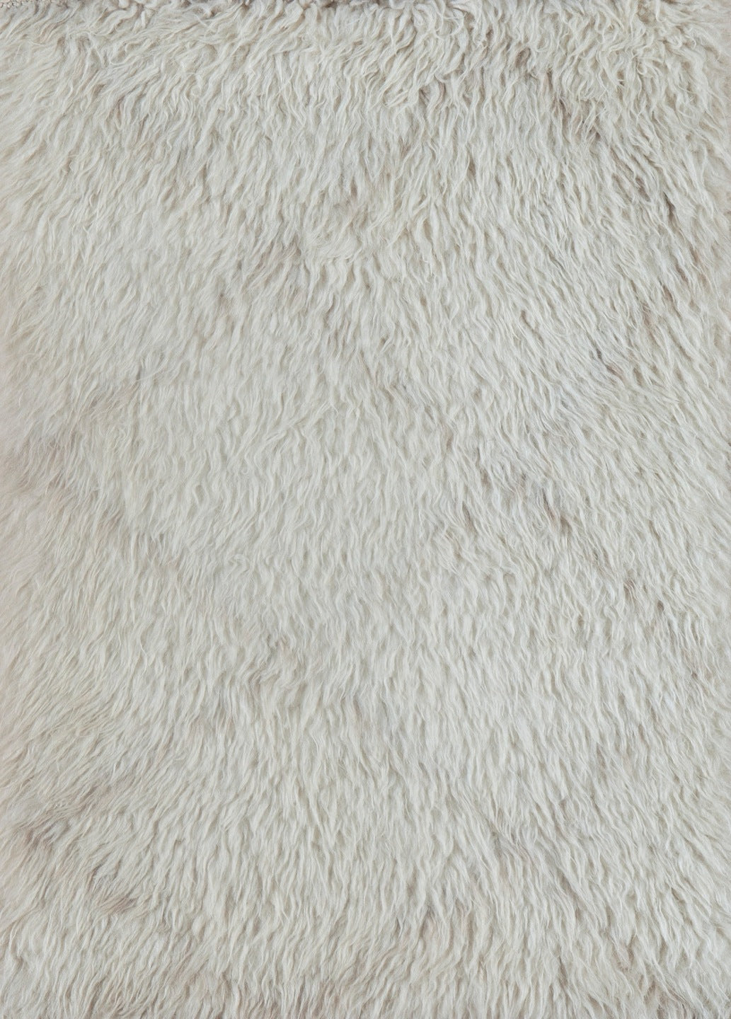 S13299 Rug