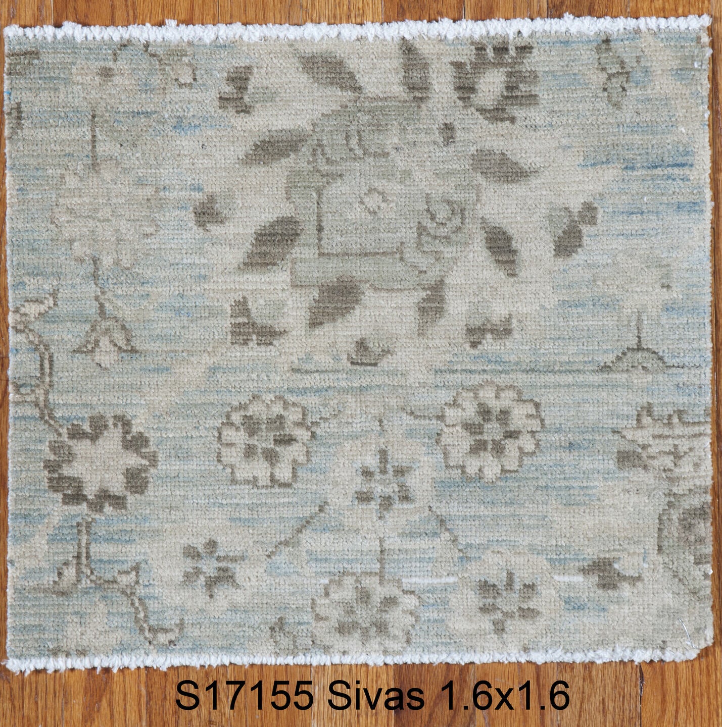 S17157 Rug