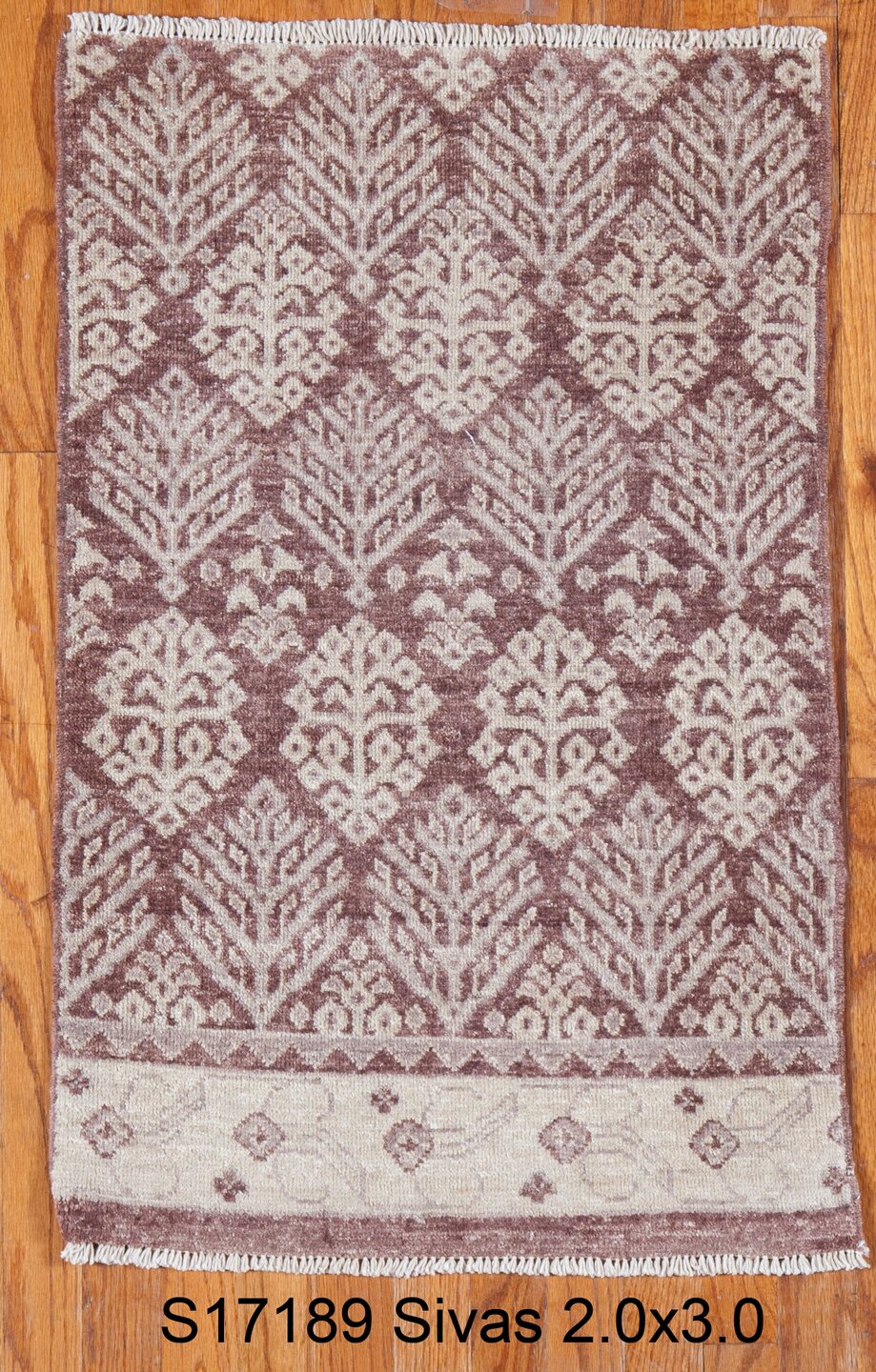 S17190 Rug