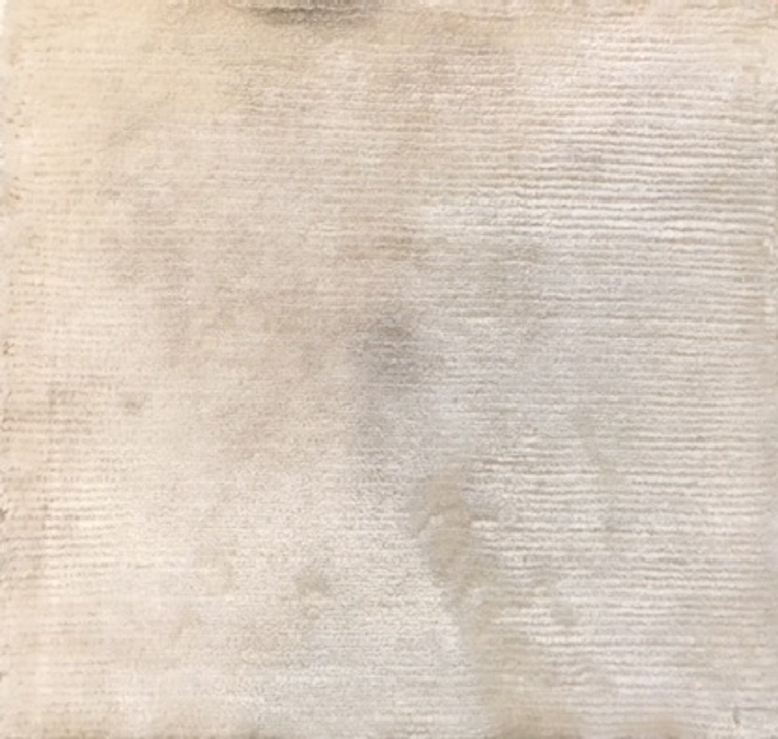 S18831 Rug