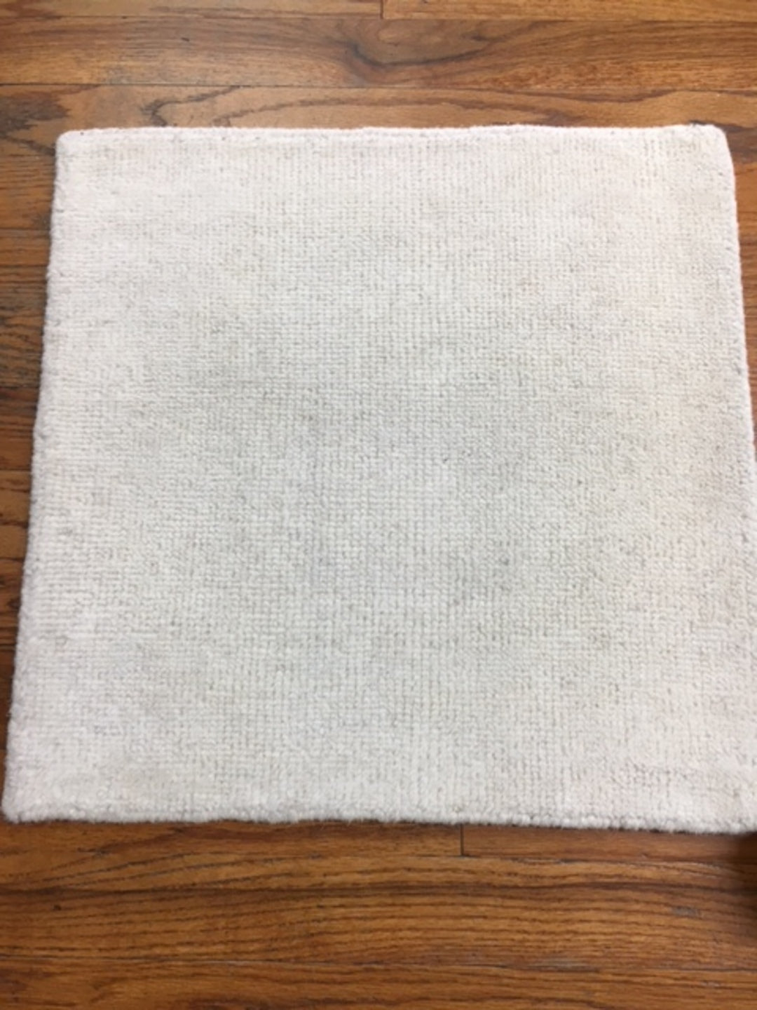 S21081 Rug