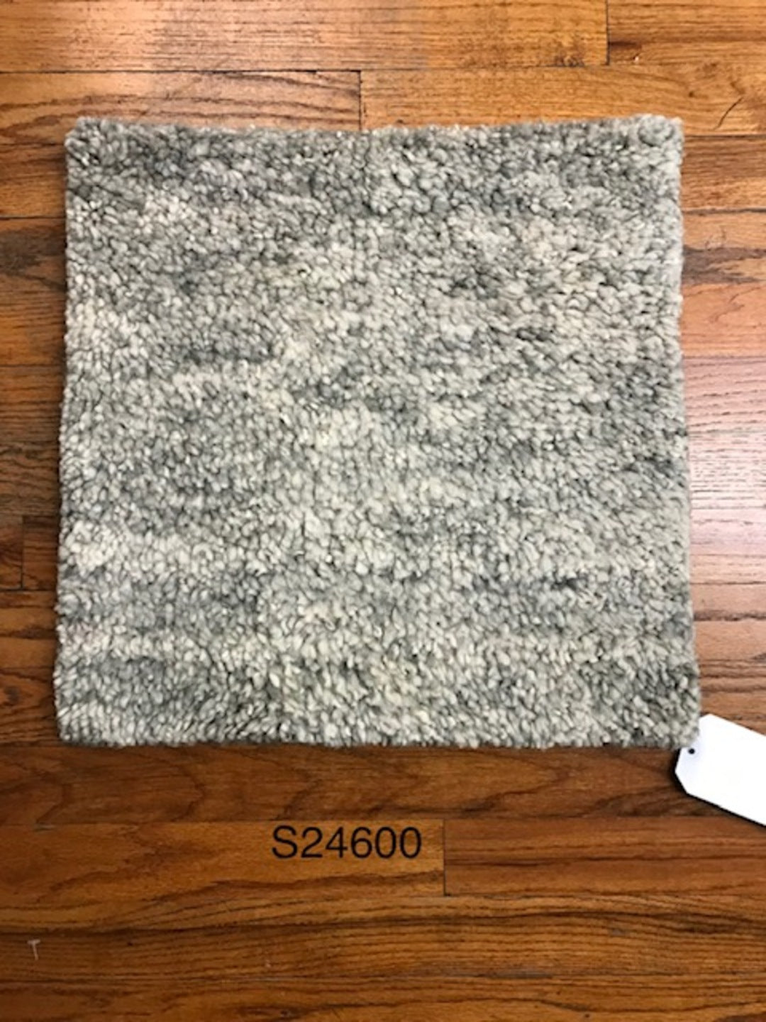 S24601 Rug