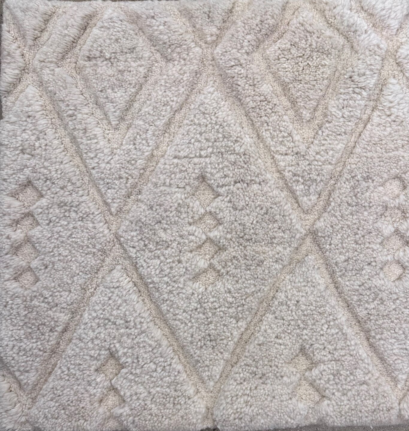 S26813 Rug