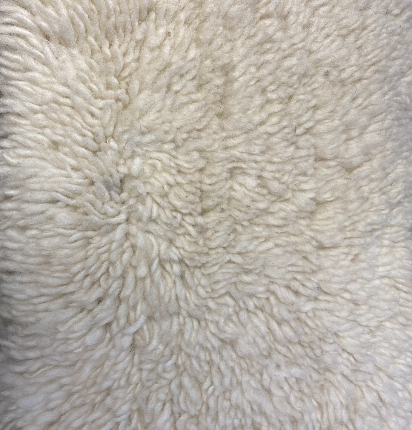 S26831 Rug
