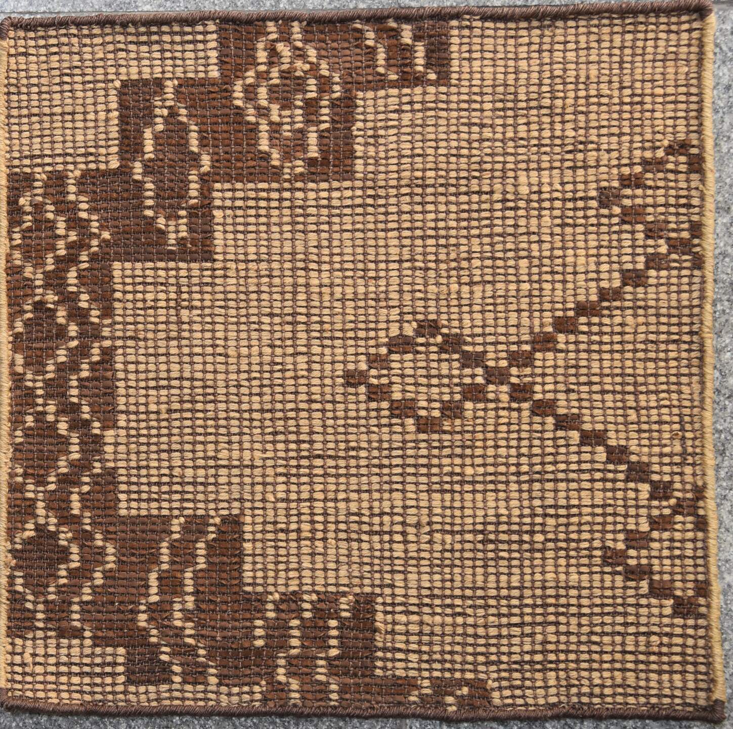 S27095 Rug