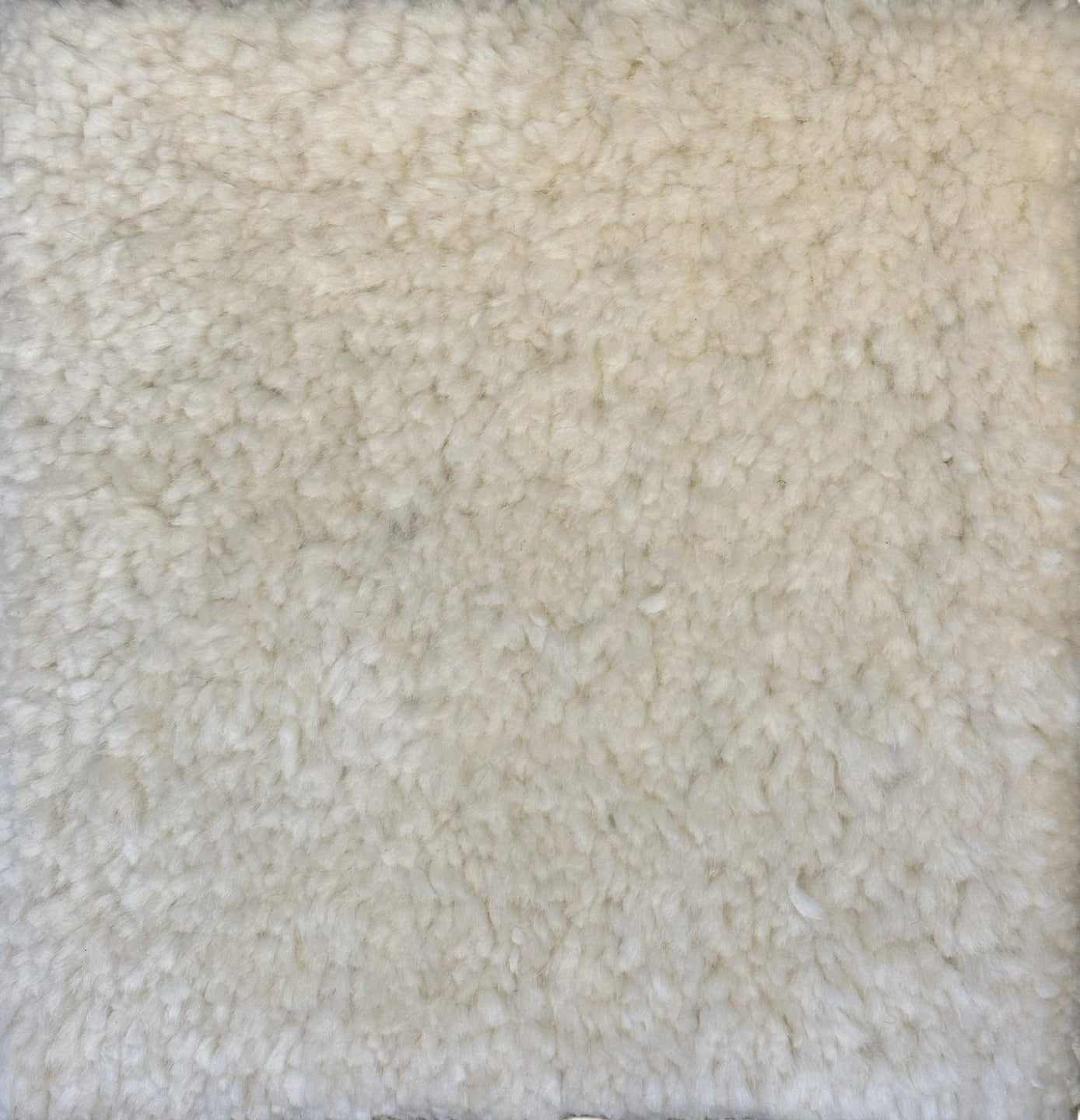 S27561 Rug
