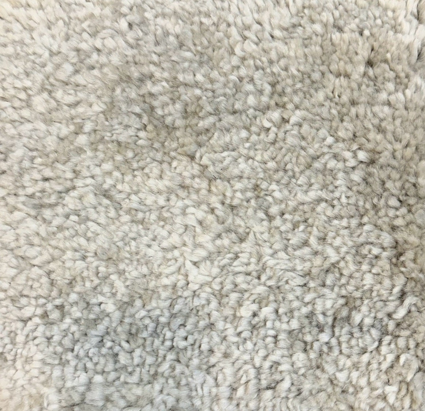 S27686 Rug