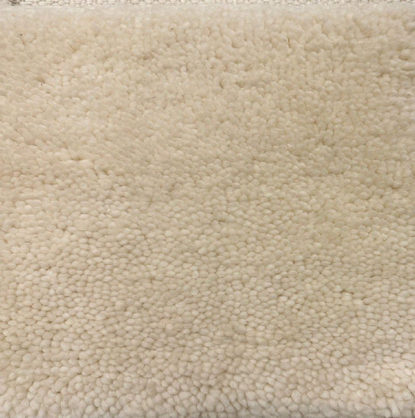 S27854 Rug