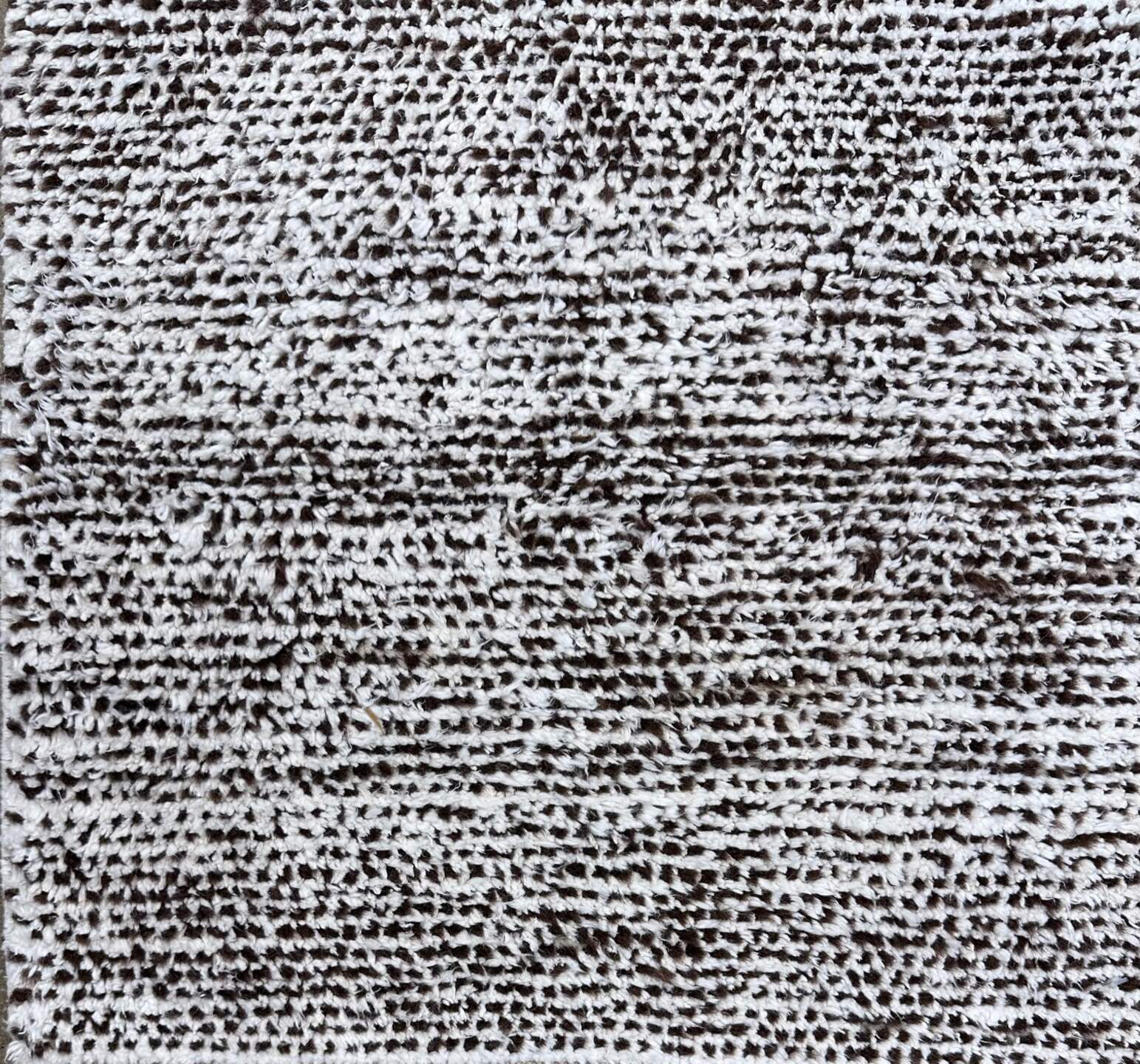 S27869 Rug