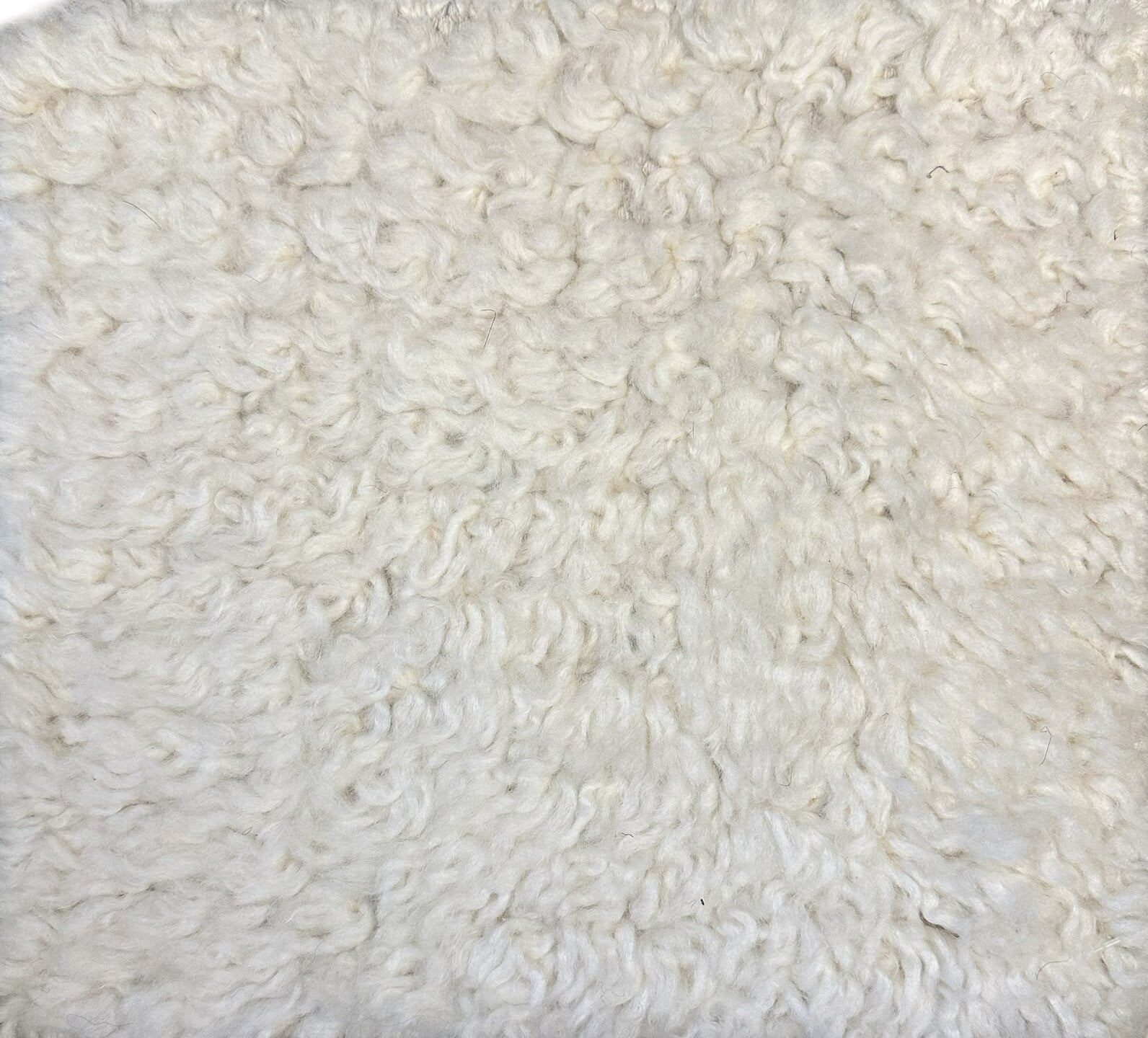 S28031 Rug