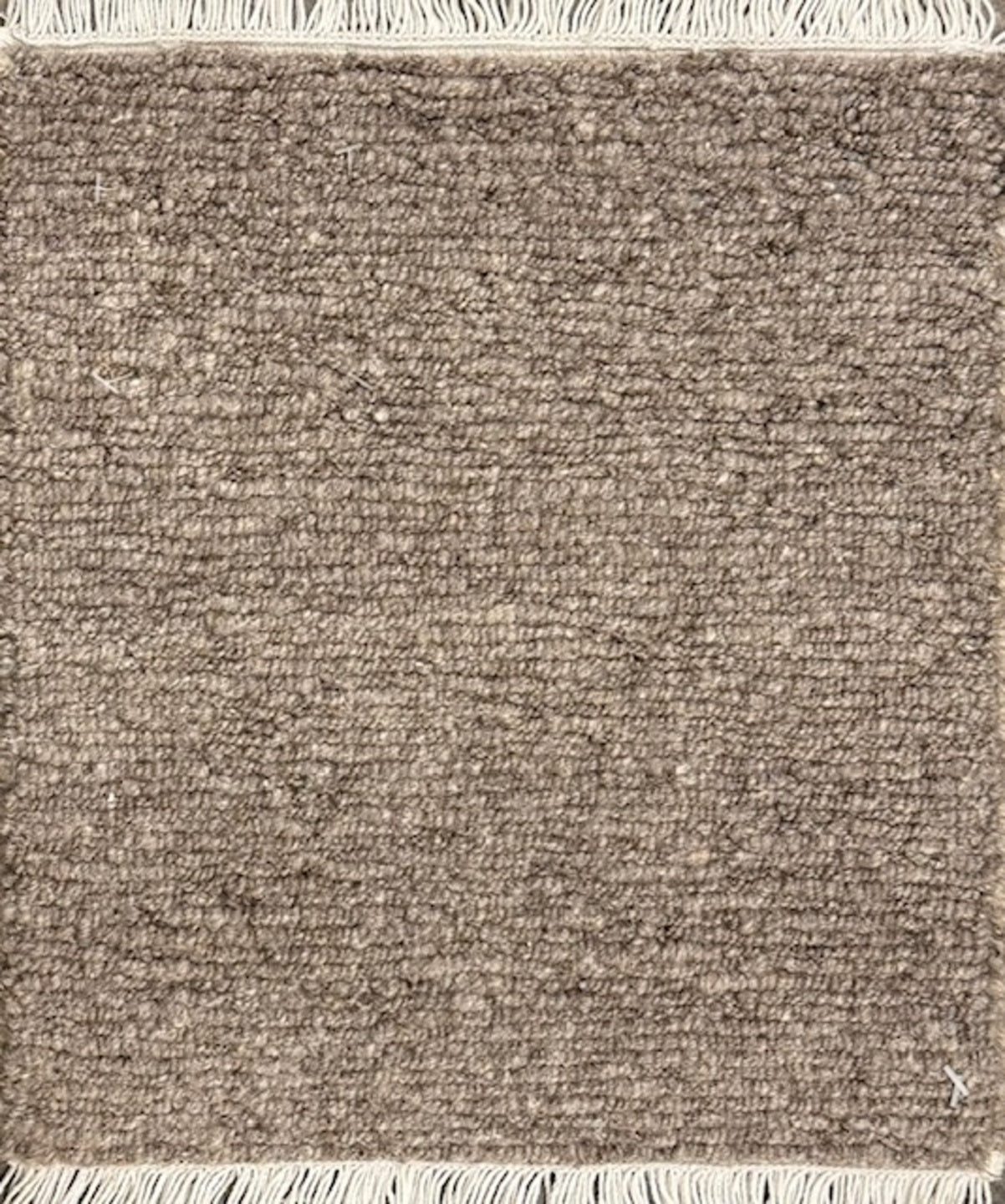 S29154 Rug